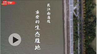 习近平江苏行丨和谐共生 如此长江——走进五山地区滨江片区