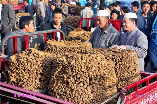 曾“苦甲天下” 今“甘味”绵长 甘肃定西：愚公移山走进春风里