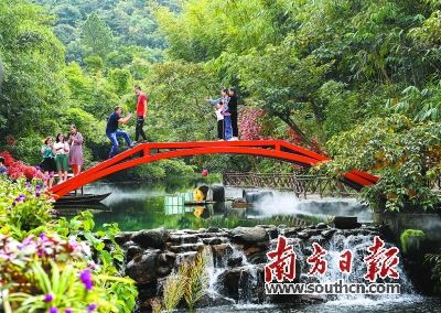 双循环背景下，大湾区世界级旅游目的地建设进程加速