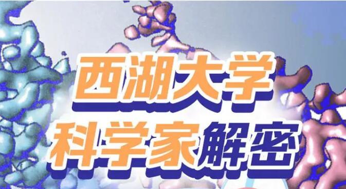浙江：第一批疫苗已产生抗体，进入动物实验阶段