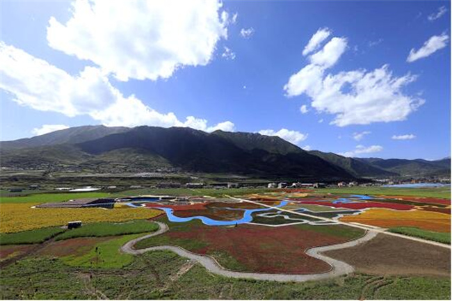 四川松潘县：新业态带“活”乡村旅游 “火”了村庄富了村民