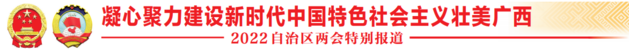 两会大观｜跑出速度　跑出风采　跑出成绩——代表委员热议如何在推动边疆民族地区高质量发展上闯出新路子