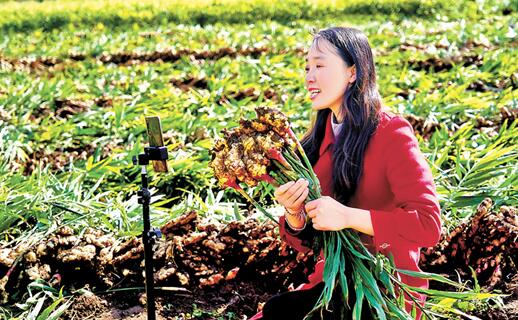 代表委員建言脫貧攻堅走向鄉村振興 鞏固成果防返貧 做大產業謀振興