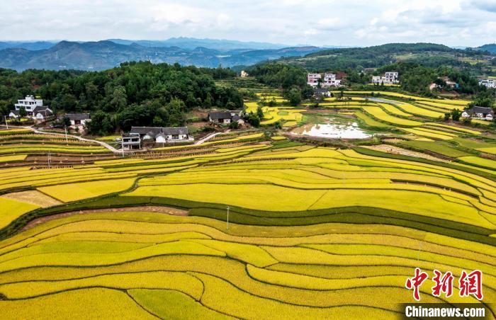 中共二十大为何以战略思维布局“国家安全”？