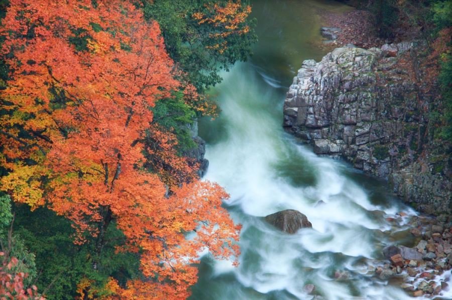 The beauty of the red leaves on Guangwu Mountain at the southern foot of the Qinling in China