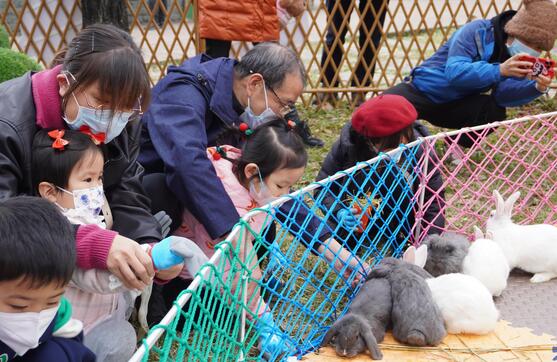 【老广贺春▪德语】Erleben Sie das Kaninchenjahr-Gartenfest!