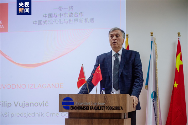 总台“中国式现代化与世界新机遇”研讨会在黑山成功举办