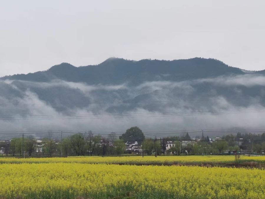 桃花源里“好耕田”——高质量打造黟县乡村旅游国际范