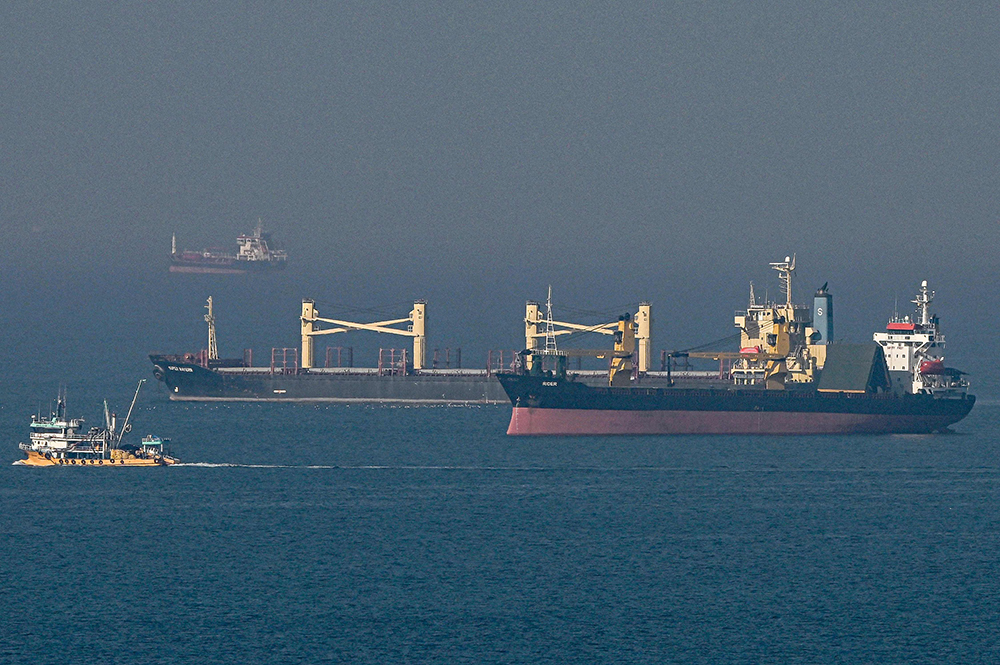 黑海港口农产品外运协议将再延长两个月