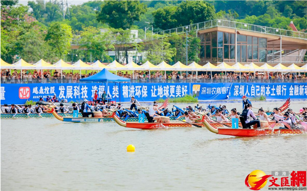大灣區首場龍舟賽事今開賽　香港龍舟隊：高水平技術交流收穫豐富