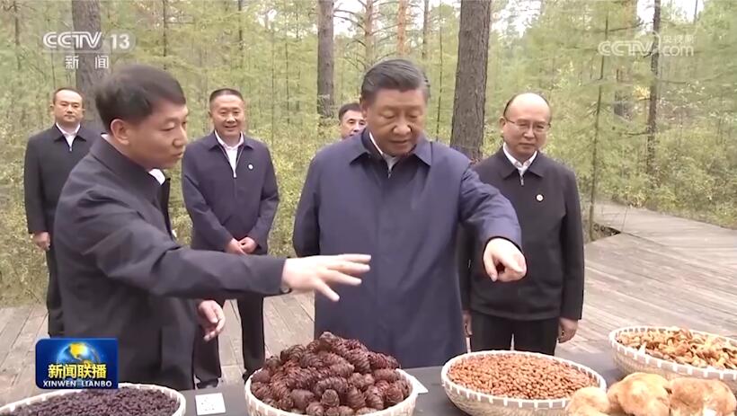 主播说联播丨将优势变为动能！总书记为龙江大地发展指明方向