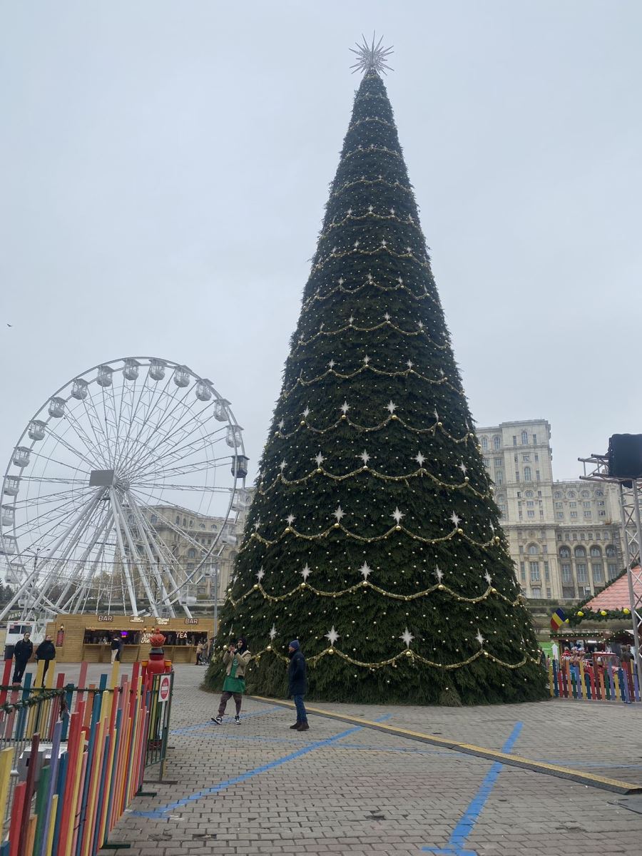 30米高圣诞树矗立在布加勒斯特宪法广场