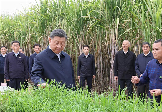 时政微观察丨“八桂飘香”的新蓝图