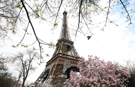 法国两男子用废木料打造缩小版埃菲尔铁塔