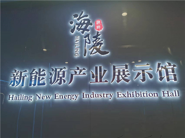 “2024华文媒体看江苏”活动走进新能源展示馆暨营商环境体验馆