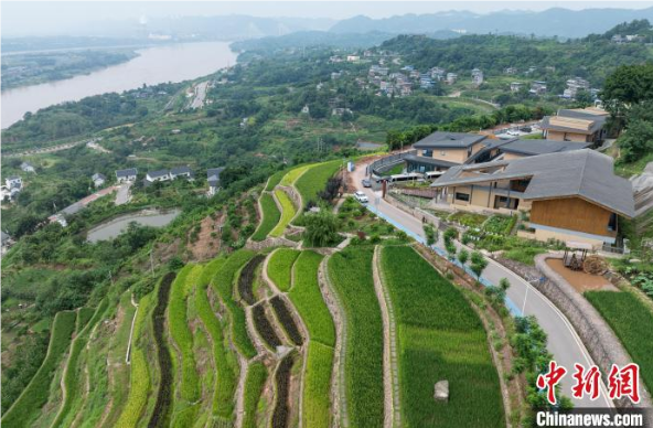 金鳌田园：打造都市田园新画卷，乡村振兴显成效