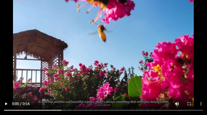 【大美广东】Lingnan: Beauty Beyond Borders | The Greater Bay Area's first 