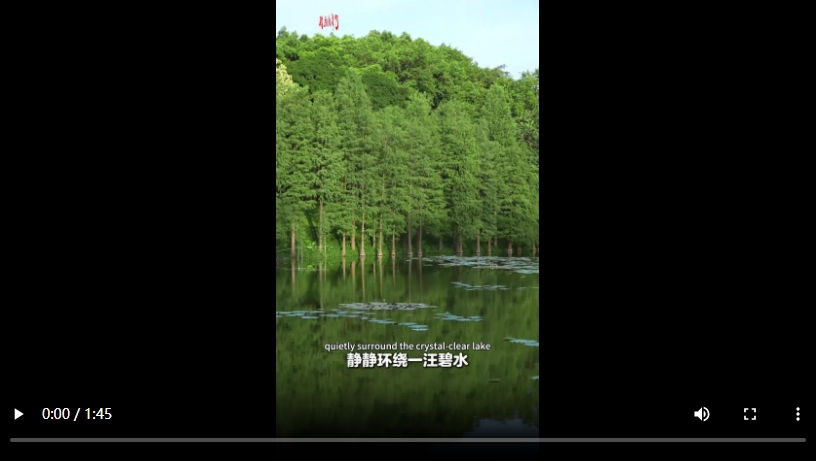 【大美广东】The 