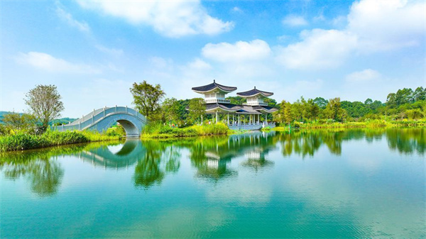 【大美广东】The Sino-Singapore Guangzhou Knowledge City's Jingxia Water System Connectivity Phase I Project undergoes a majestic transformation 知识城迳下水系“华丽转身”，绿美碧带宛如油画