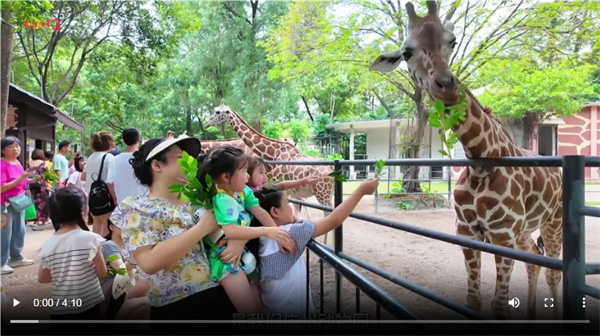 【大美广东】Make friends with animals and take children to the Guangzhou Zoo  与动物做朋友，和孩子走进广州动物园