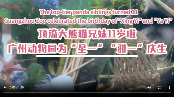 【大美广东】