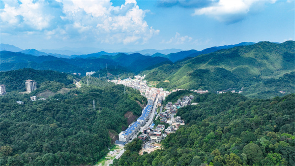 【大美广东】How did Nankun Mountain become the 