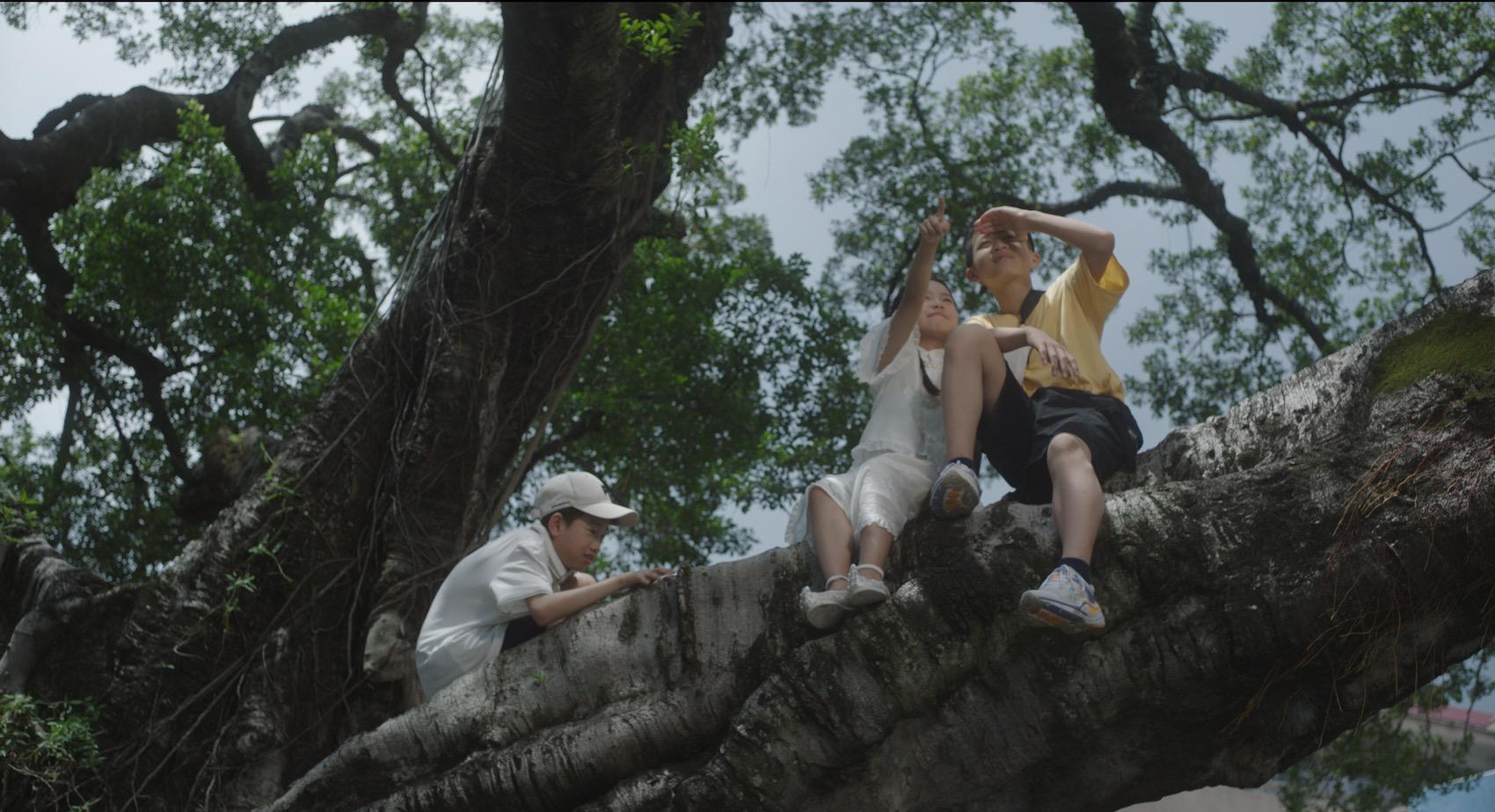 【大美广东】Zhuang Canjie celebrates double wins: 'The Returning Island' recognized as Excellent Short Film  山海计划短片《珊瑚她在等》获大影周优秀短片荣誉，导演庄灿杰双喜临门