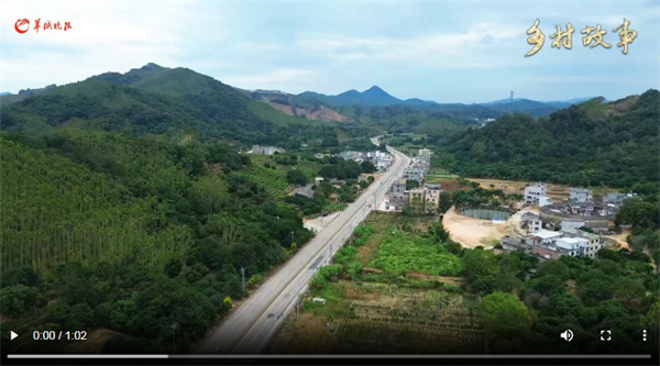 【大美广东】Village Story | Pingyang Village, Fushan Town, Raoping County, Chaozhou: Exploring the Road to Prosperity through Fushan Persimmon Cakes  乡村故事｜潮州饶平浮山镇坪洋村：探索浮山柿饼化身致富果实的兴业之路