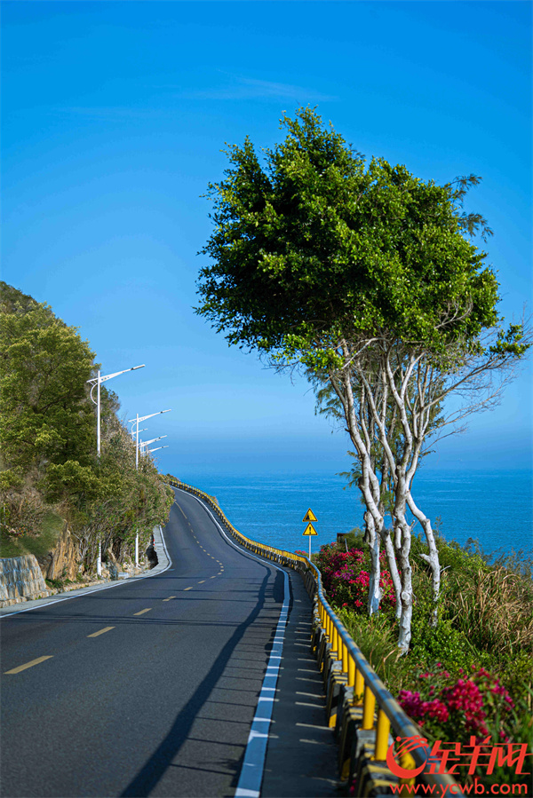 【大美广东】Guangdong's Nan'ao Island Ring Road was named the 