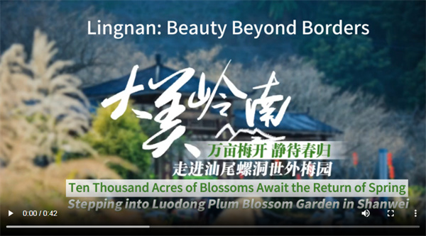 【大美广东】Lingnan: Beauty Beyond Borders | Luodong Plum Blossom Garden in Shanwei: Ten Thousand Acres of Blossoms Await the Return of Spring  大美岭南 | 汕尾螺洞世外梅园：万亩梅开 静待春归
