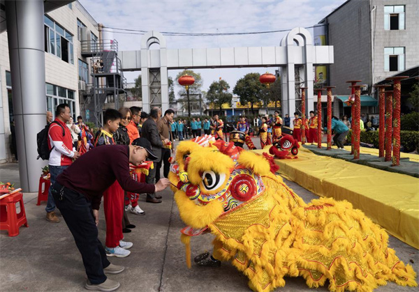 【雲上嶺南】Lion dance kicks off the journey of the new year  图集｜舞狮贺岁，共启新程