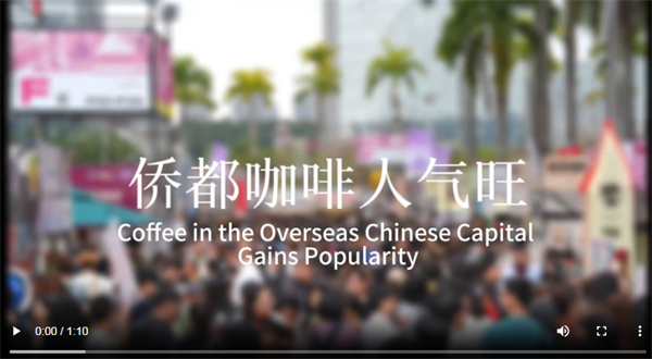 【大美广东】Jiangmen: The Integration of Primary, Secondary, and Tertiary Industries Brews Flavorful Coffee in the Overseas Chinese Capital  江门：“三产融合”煮出浓郁侨都咖啡