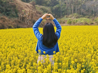 【大美广东】Come to Fogang County, Qingyuan City, and Embark on a Journey to a Sea of Springtime Rape Flowers  来清远佛冈，赴一场春日油菜花海之约