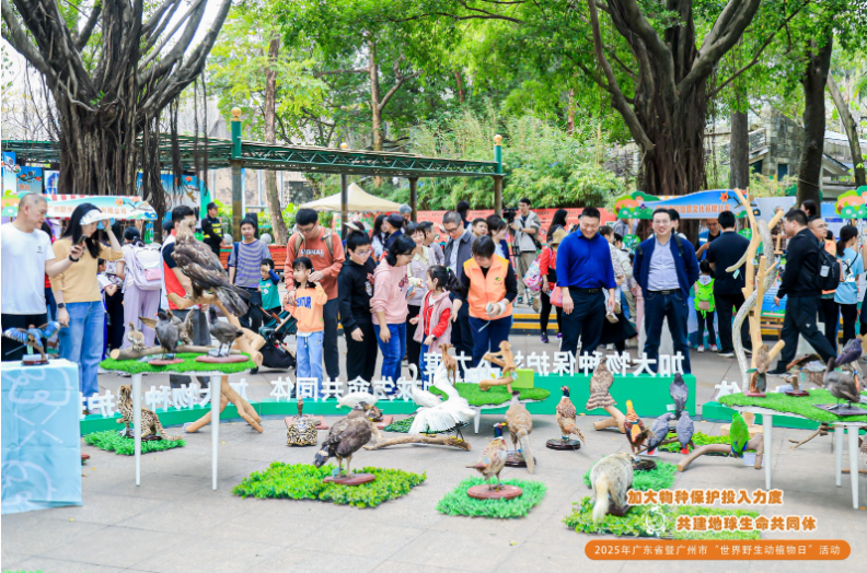 【大美广东】Protect Wildlife and Plants, Let's Work Together For a Greener and More Beautiful Guangzhou!  保护野生动植物，绿美广州齐行动！