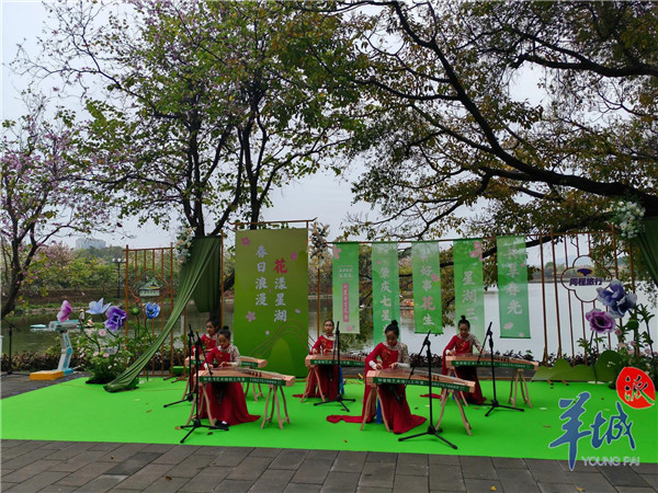 【大美广东】2025 Qixingyan Flower Viewing Season Starts！  2025年七星岩赏花季启动