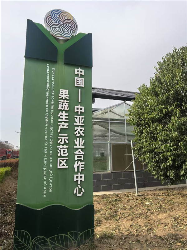 境外媒体采访大荔新颖现代农业园区  科技赋能打造全产业链发展样板