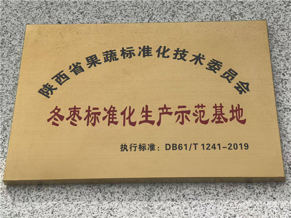 境外媒体参观大荔红枣产业：铸就亿元村的“金名片”