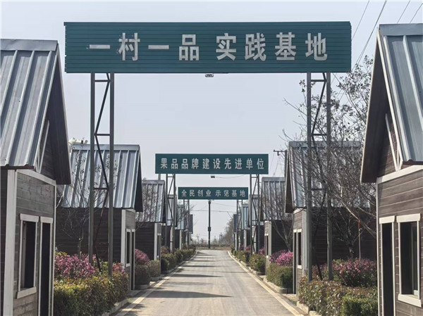 境外媒体探访陕西郭家庄村 党建引领乡村治理新篇章