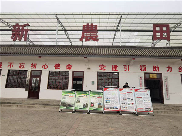 境外媒体参观白水县新农田农业科技 引领苹果产业发展新方向