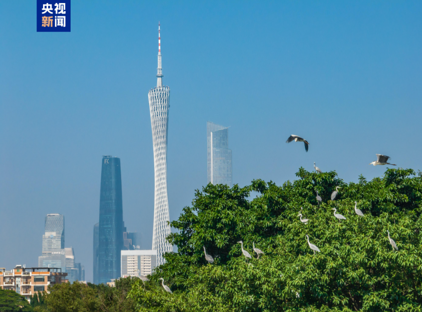 无惧风雨“候鸟”翩翩而至 广交会有何魅力？