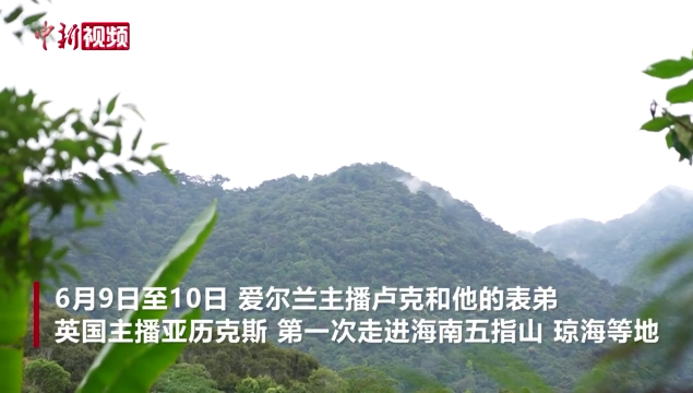 “洋主播”兄弟海南行 点赞绿水青山、医疗康养