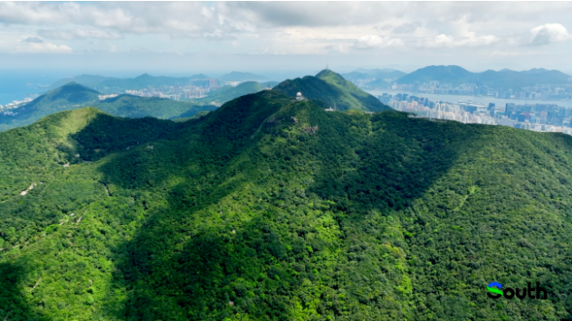 港九英雄：揭秘二戰期間粵港版的《虎口脫險》|戰友②