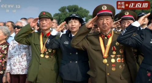 老战士起身敬礼的场面，看哭了！