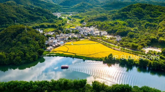“阳台”就是舞台！广东艺术气质藏也藏不住