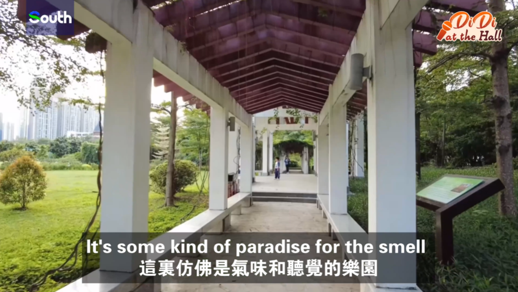 Didi at the Hall | Foreign expats share 