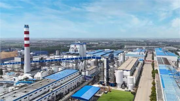 Huatai Group Reinvents Itself Through Innovation in Sustainable Paper Manufacturing