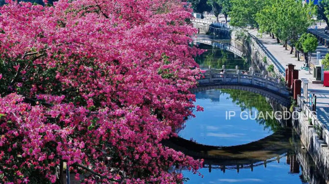 腊味至，热气腾腾的年不远了