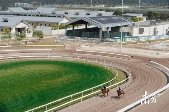 广州：“马城”归来