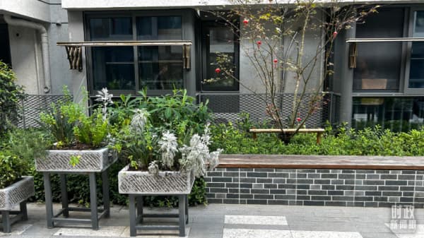 时政新闻眼丨习近平再赴上海考察，这份牵挂始终放在心上
