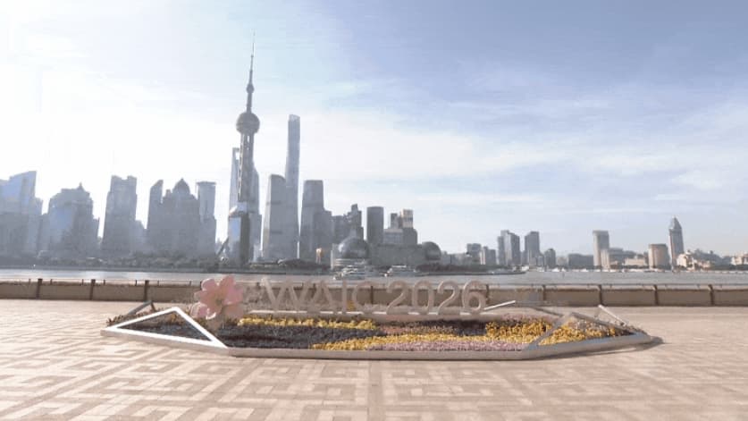 时政微纪录丨习近平总书记上海行
